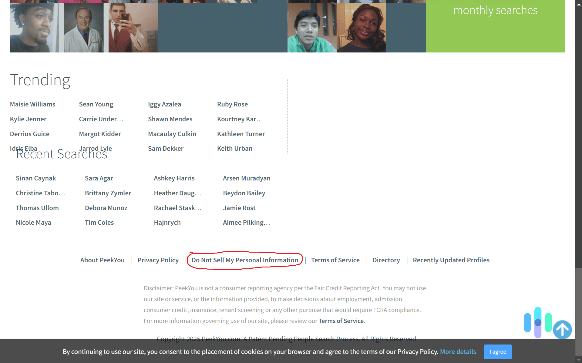 The link for opting out of PeekYou is near the very bottom of their website. The link for opting out of PeekYou is near the very bottom of their website.