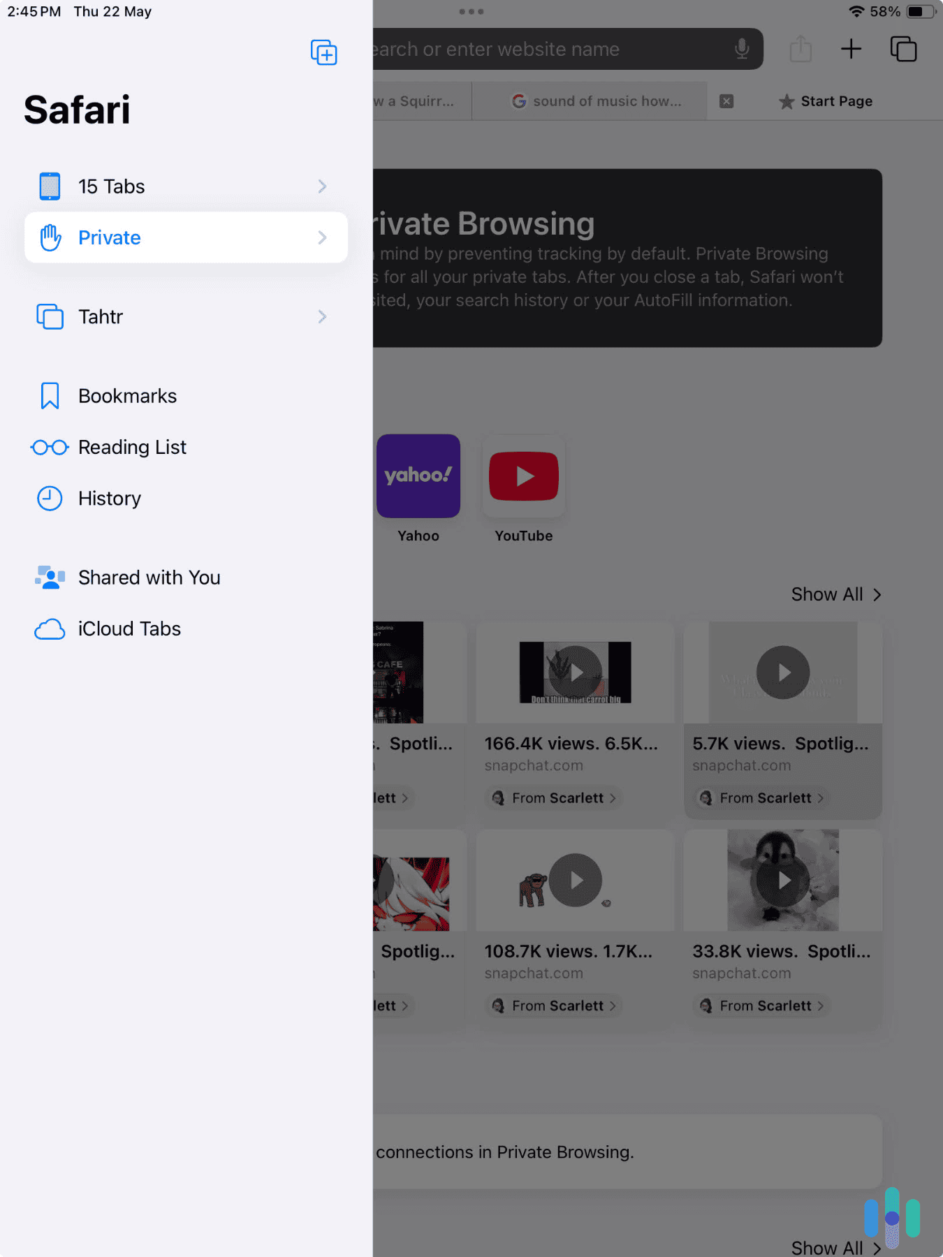 Opening a private browsing tab in our iPad Safari app Opening a private browsing tab in our iPad Safari app