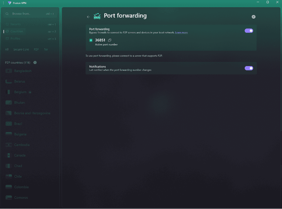 proton-vpn-port-forwarding Proton VPN port forwarding