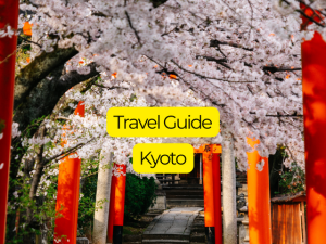 Kyoto Travel Guide