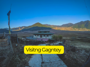 Gangtey (Phobjika) Valley Travel Guide