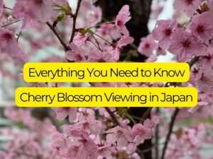 Cherry Blossom Japan Predictions 2025, Everything You Need to Know